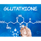 S-Acetyl L Glutathione vs. Liposomal Glutathione: Which Reigns Supreme?