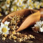 Chamomile for Sleep Apnea